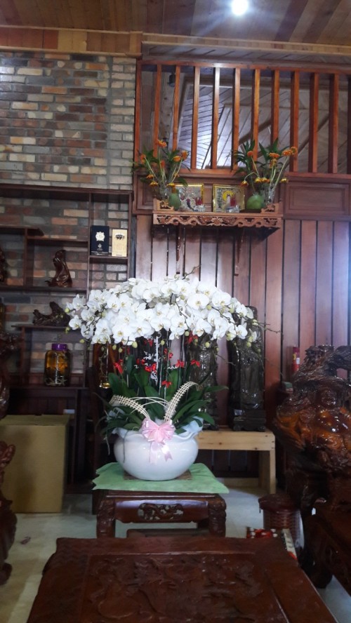 Orchid Binh Duong