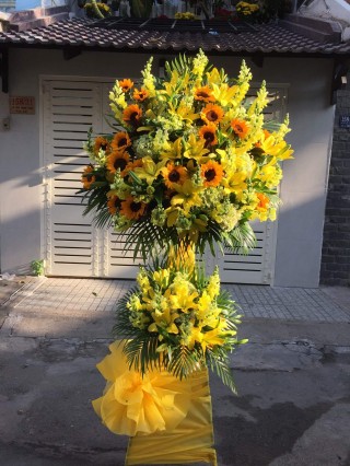 Congratulation Flowers